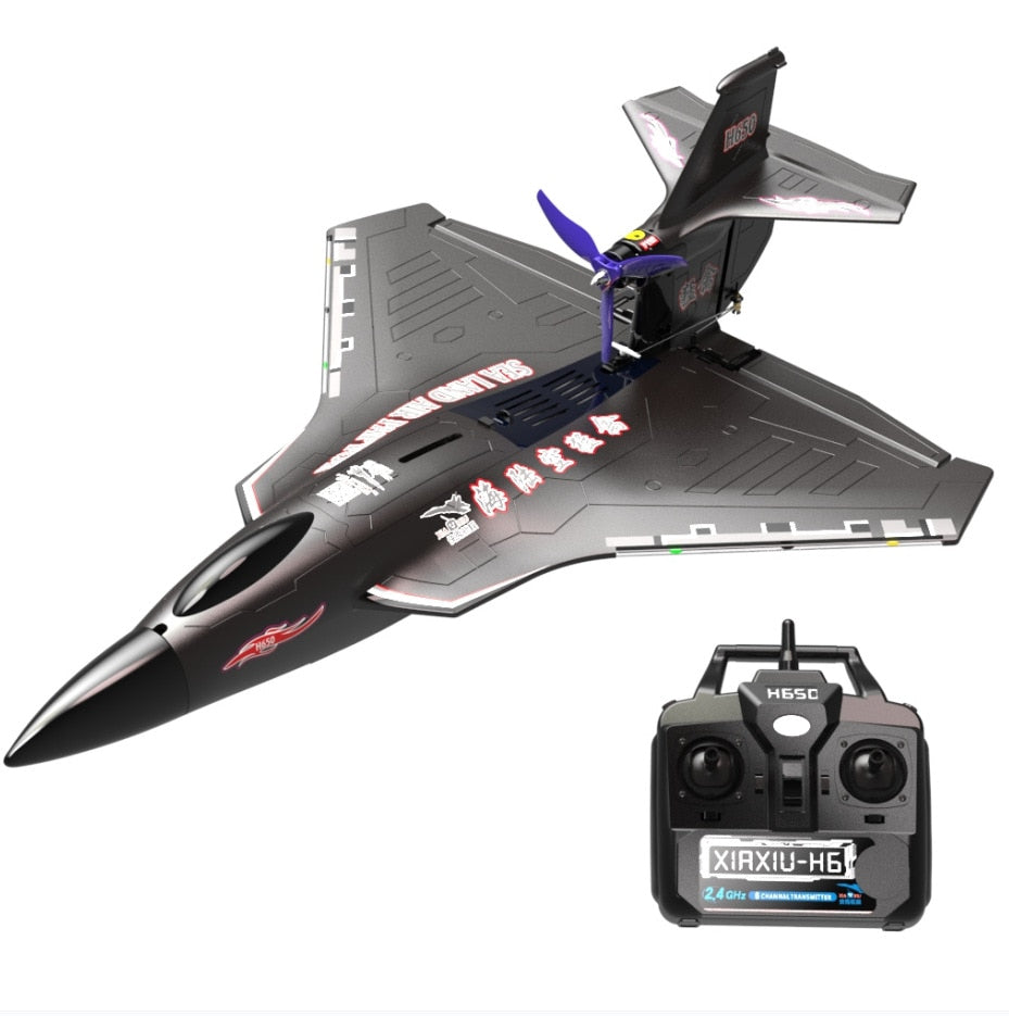 Raptor H650 Fixed Wing  RC Plane