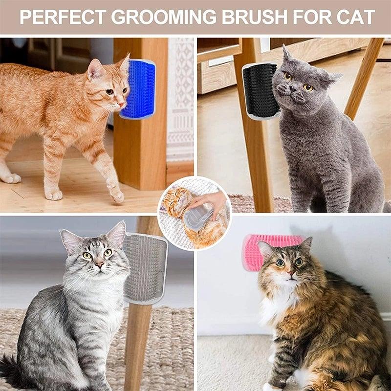 Cat Corner Brush - HOW DO I BUY THIS Blue